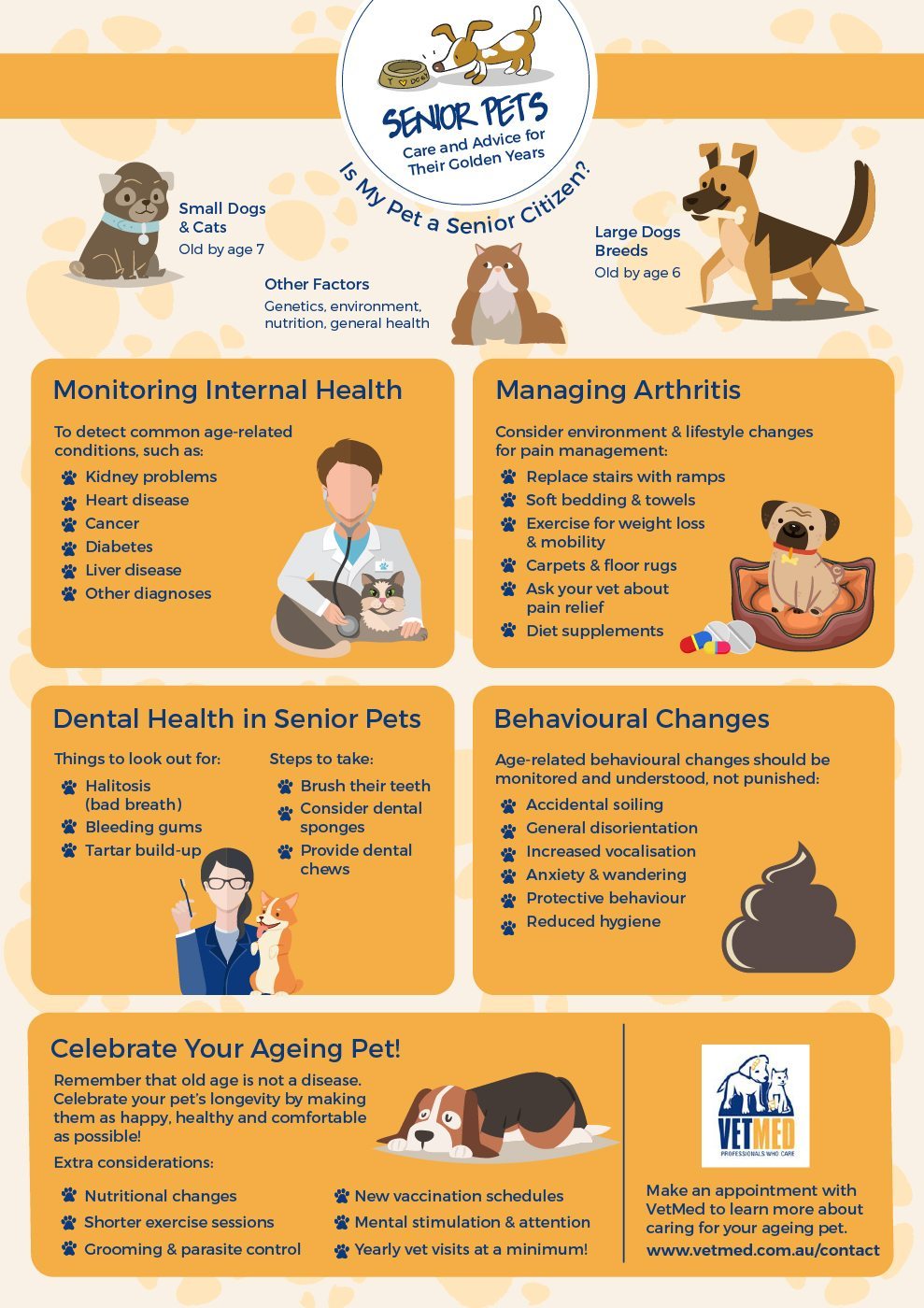 VetMedSeniorPetsCareAdviceforTheirGoldenYears VetMed