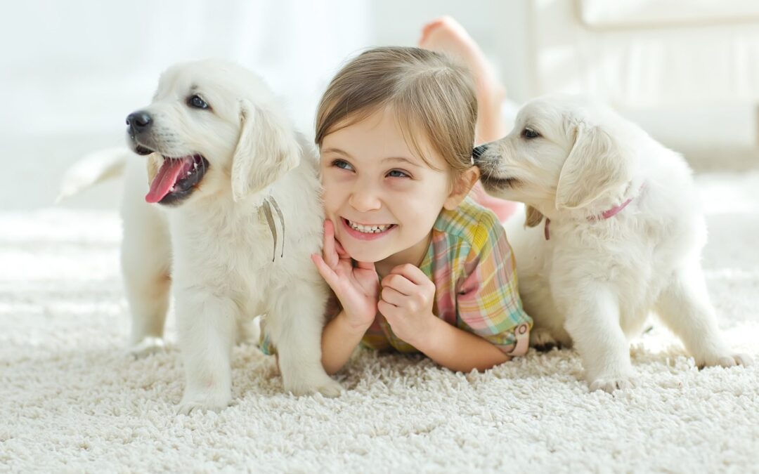 Young girl with two friendly dogs