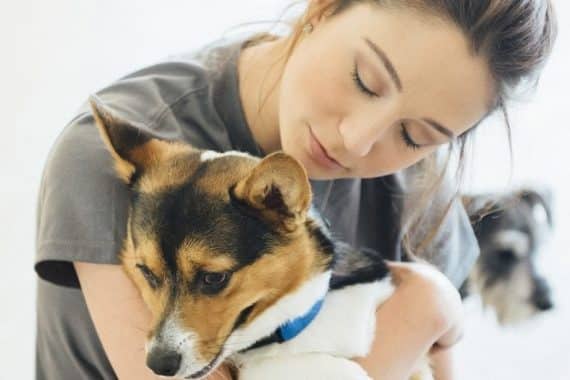 Dog vaccinations: 5 things to consider
