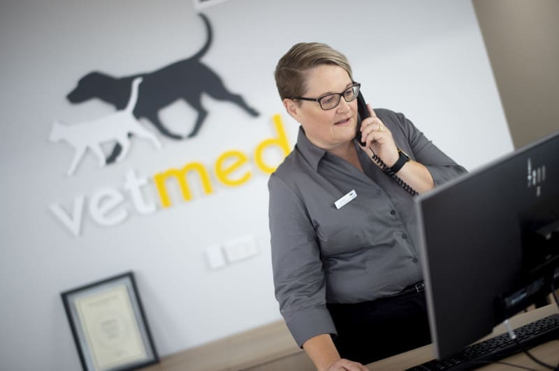 vetmed northbridge