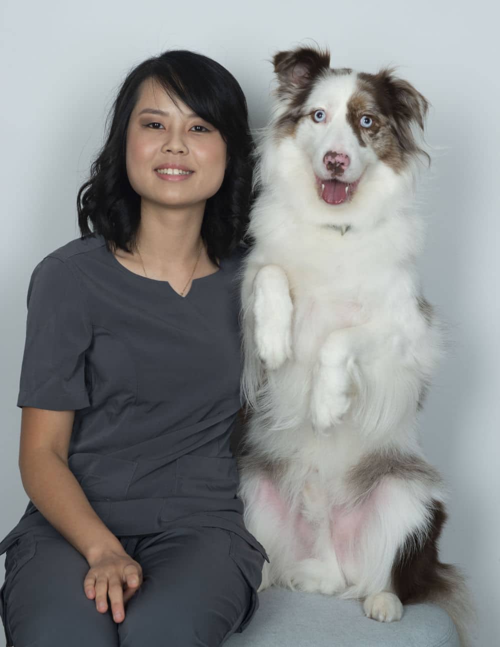 vetmed vet with happy dog boarder