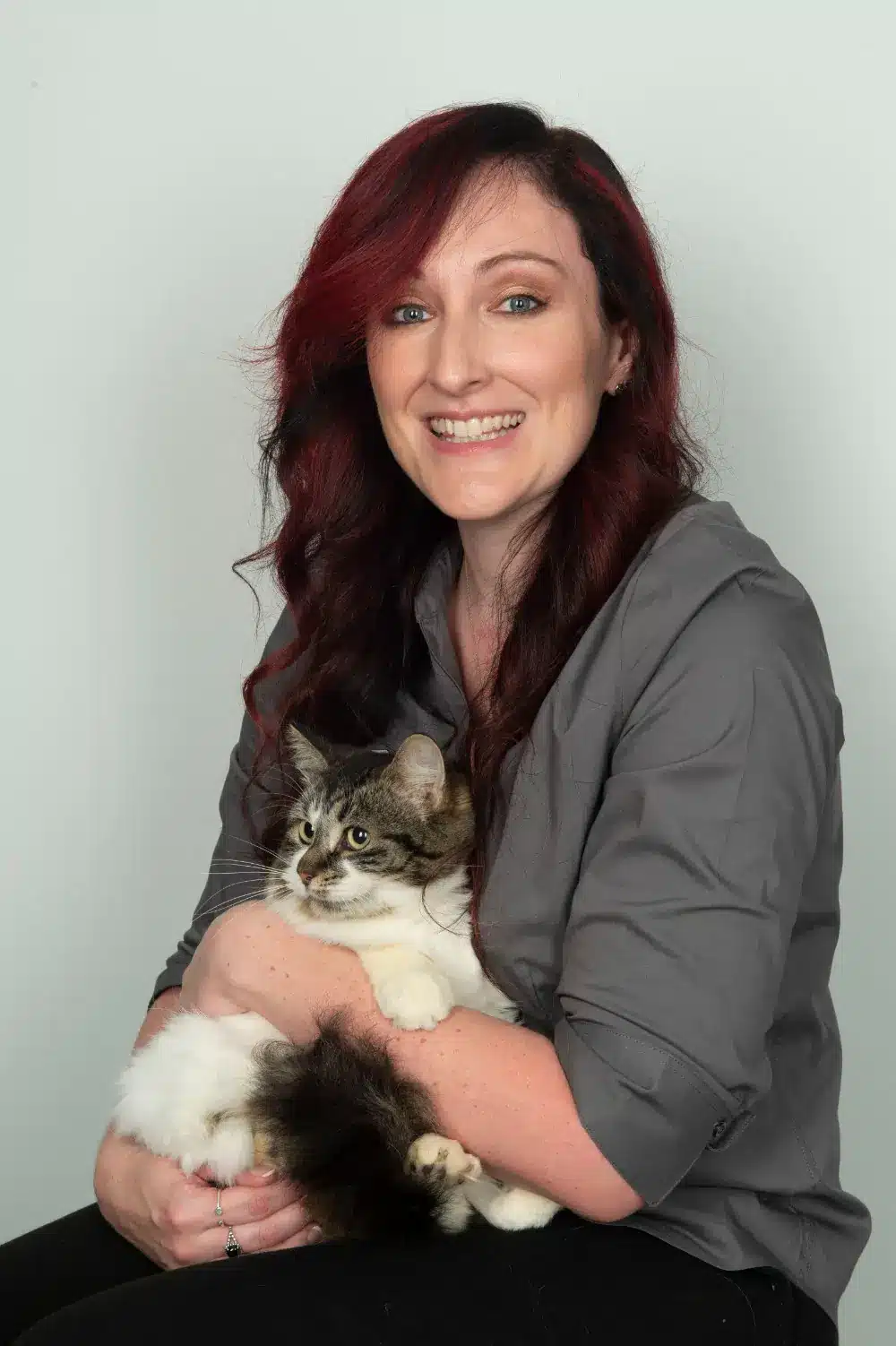 vet holding cat vet holding cat