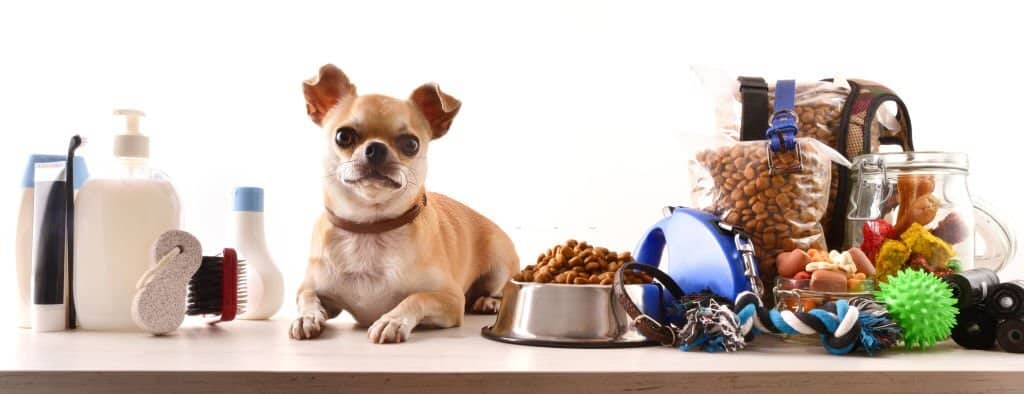 Food and accessories for walk, play and body care for the dog and chihuahua on wooden table white isolated background. Front view. Horizontal composition.