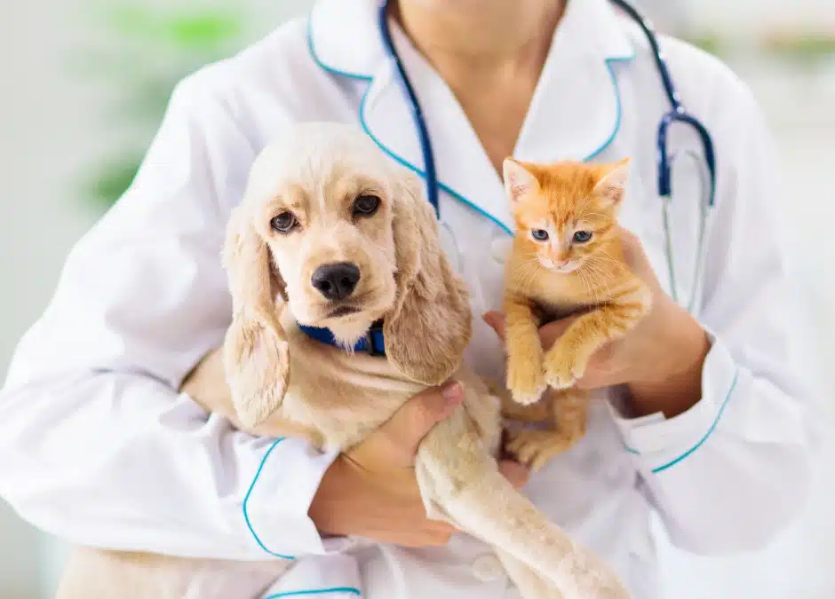 The Crucial Role of Pet Vaccinations