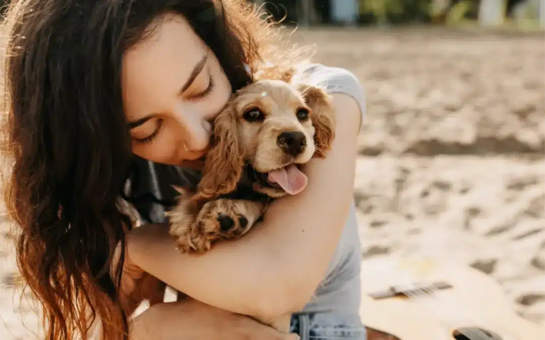 A Survival Guide to Care for Your New Puppy