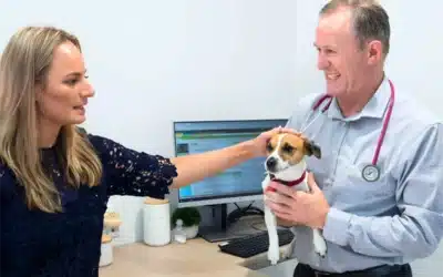 Advanced Veterinary Care at Vetmed