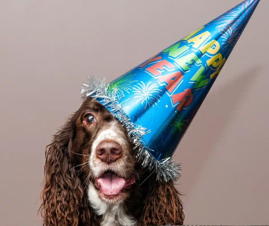 Jan_New Year, New Routine New Year, New Routine