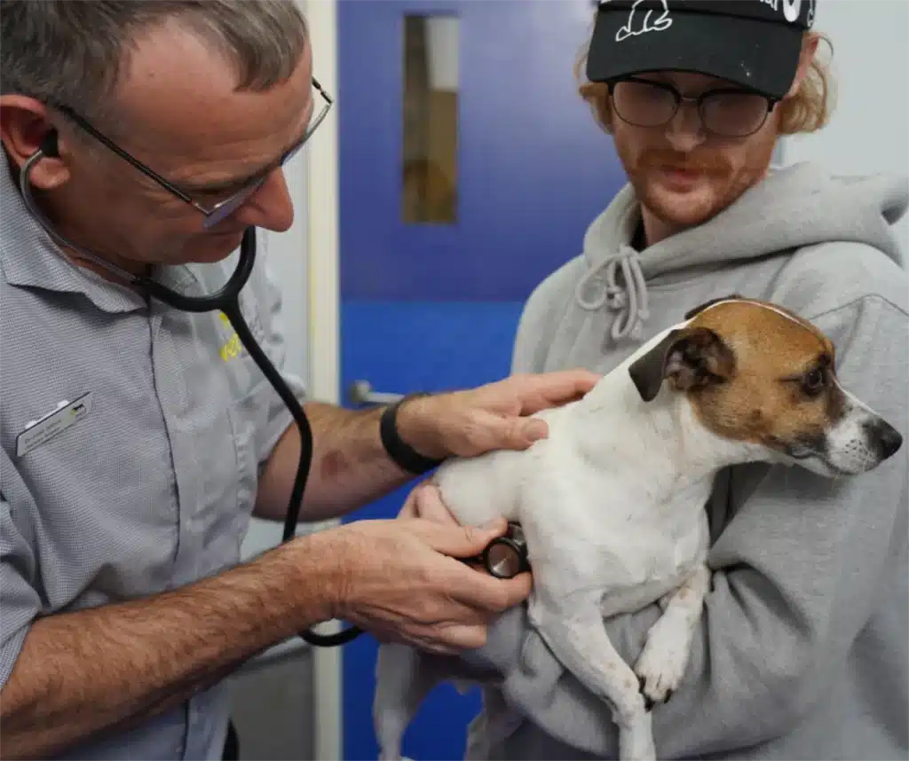 Prevenative Care for Dogs – Vetmed Prevenative Care for Dogs - Vetmed