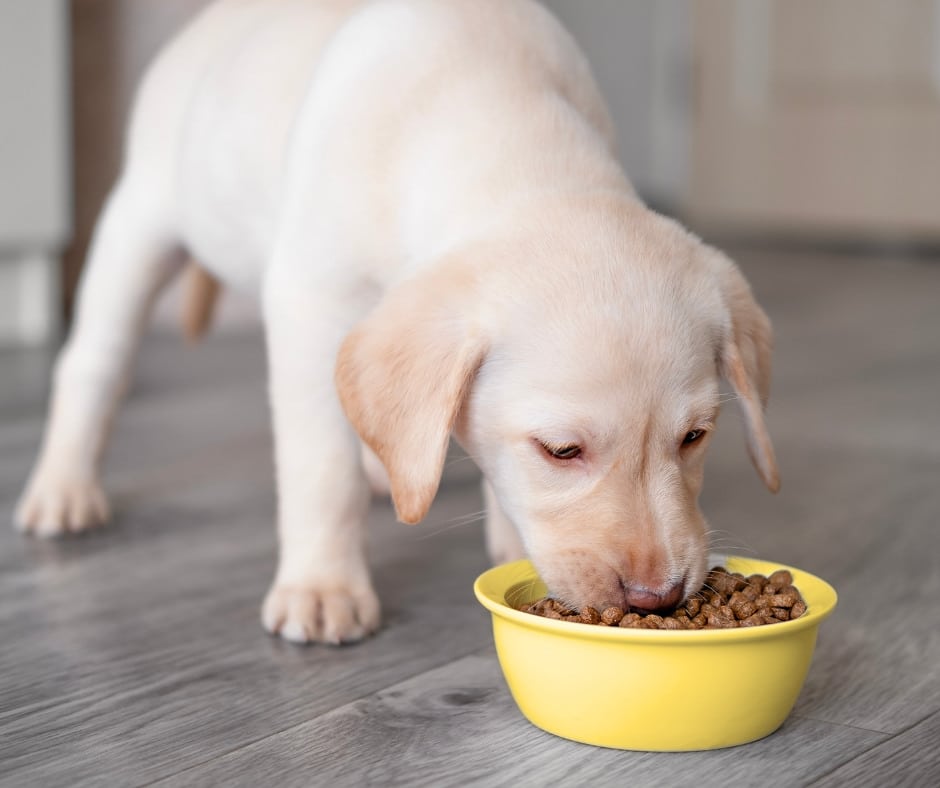 The role of nutrition