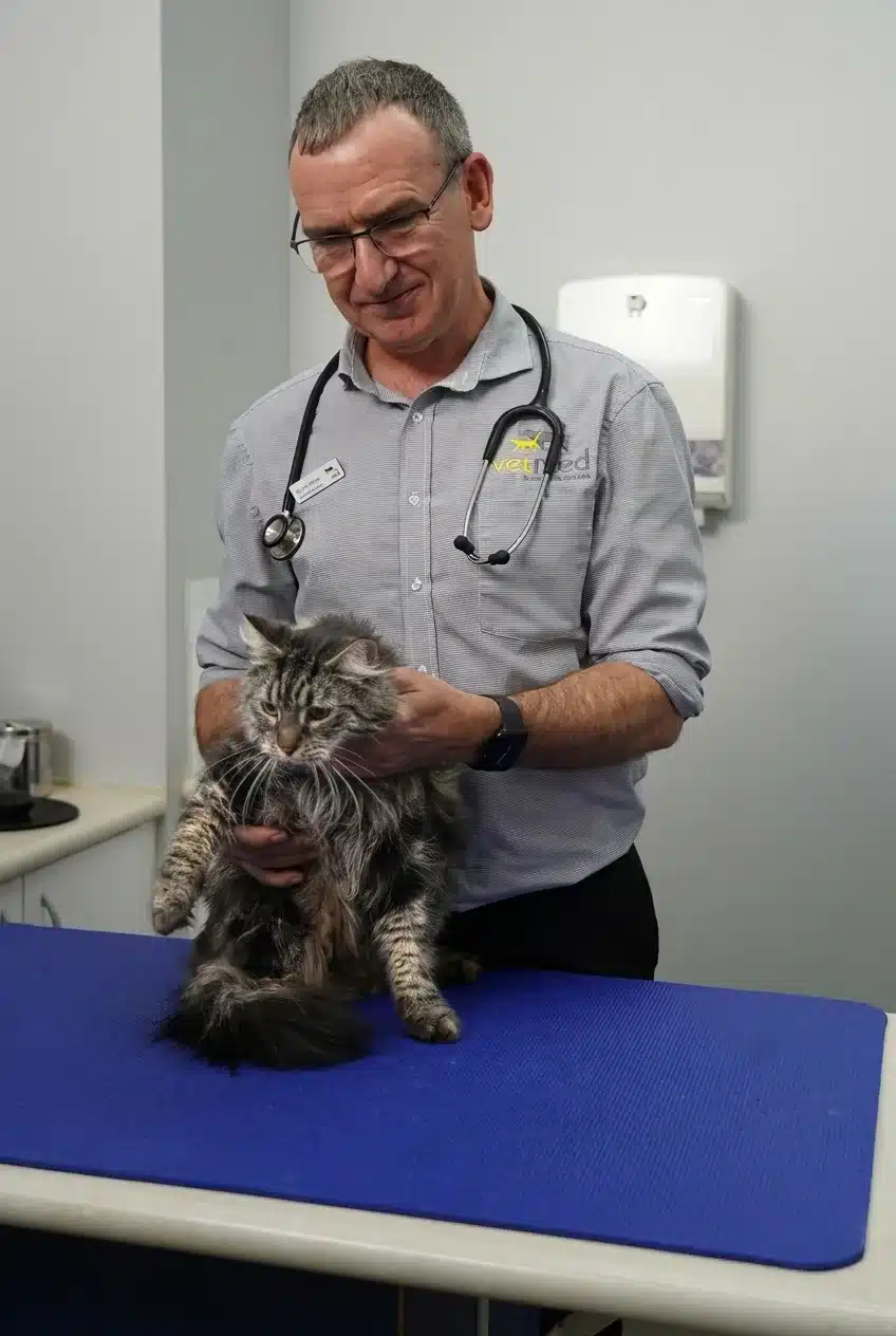 Vetmed