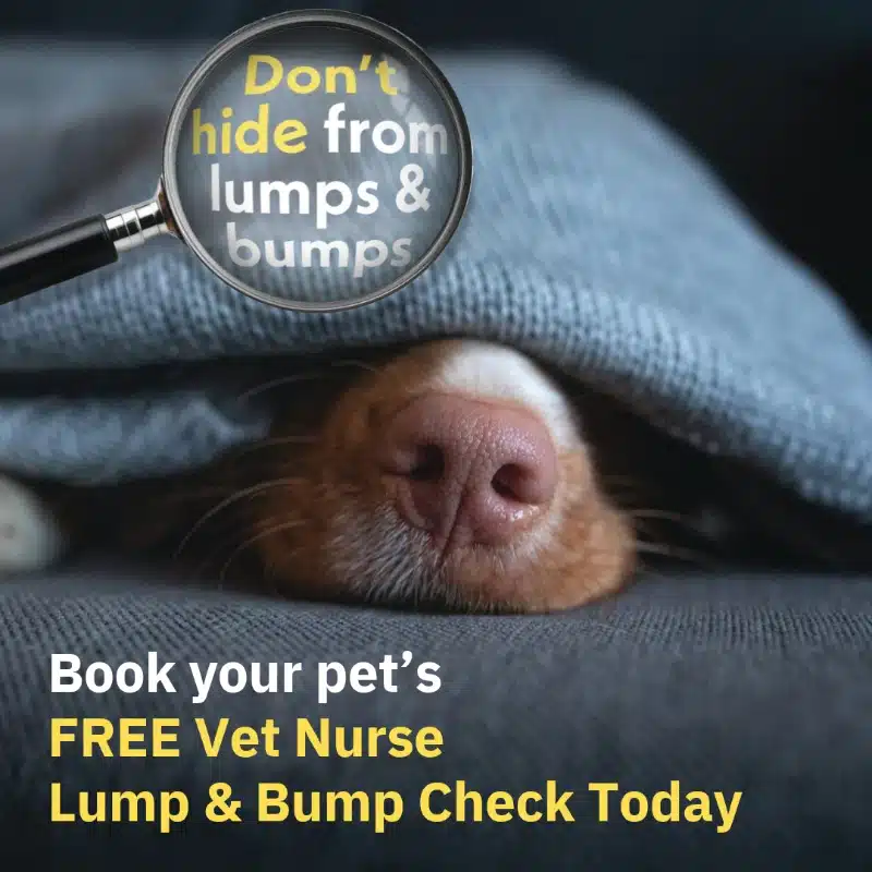 Lumps and Bumps